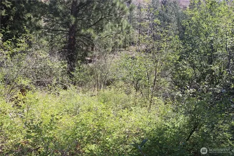 613 East Chewuch Road Winthrop WA 98862