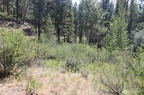613 East Chewuch Road Winthrop WA 98862