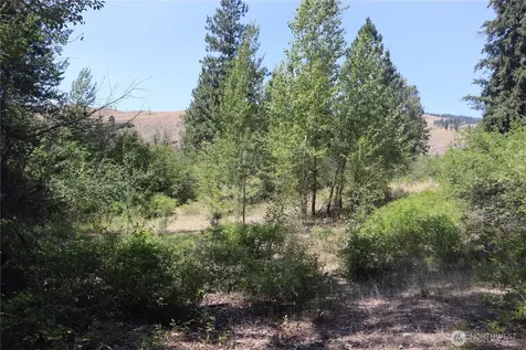 613 East Chewuch Road Winthrop WA 98862