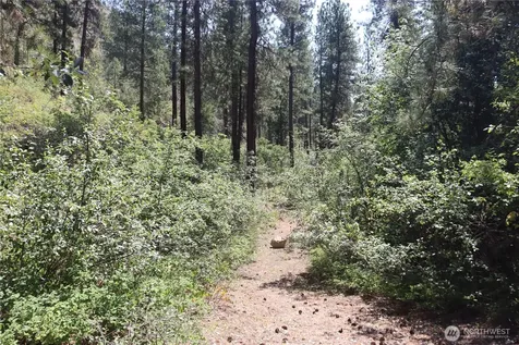 613 East Chewuch Road Winthrop WA 98862