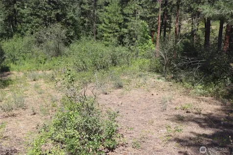 613 East Chewuch Road Winthrop WA 98862