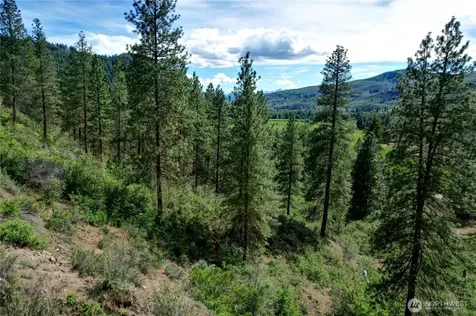 613 East Chewuch Road Winthrop WA 98862
