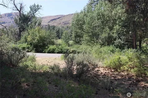 613 East Chewuch Road Winthrop WA 98862