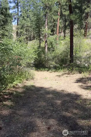 613 East Chewuch Road Winthrop WA 98862