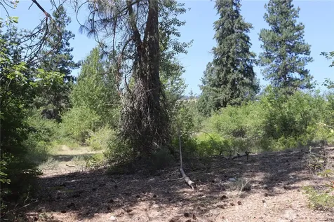 613 East Chewuch Road Winthrop WA 98862