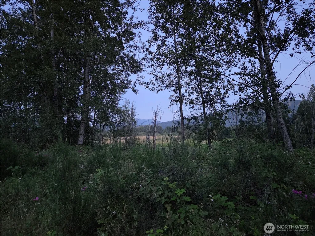 108 Savio Road E Randle WA 98377