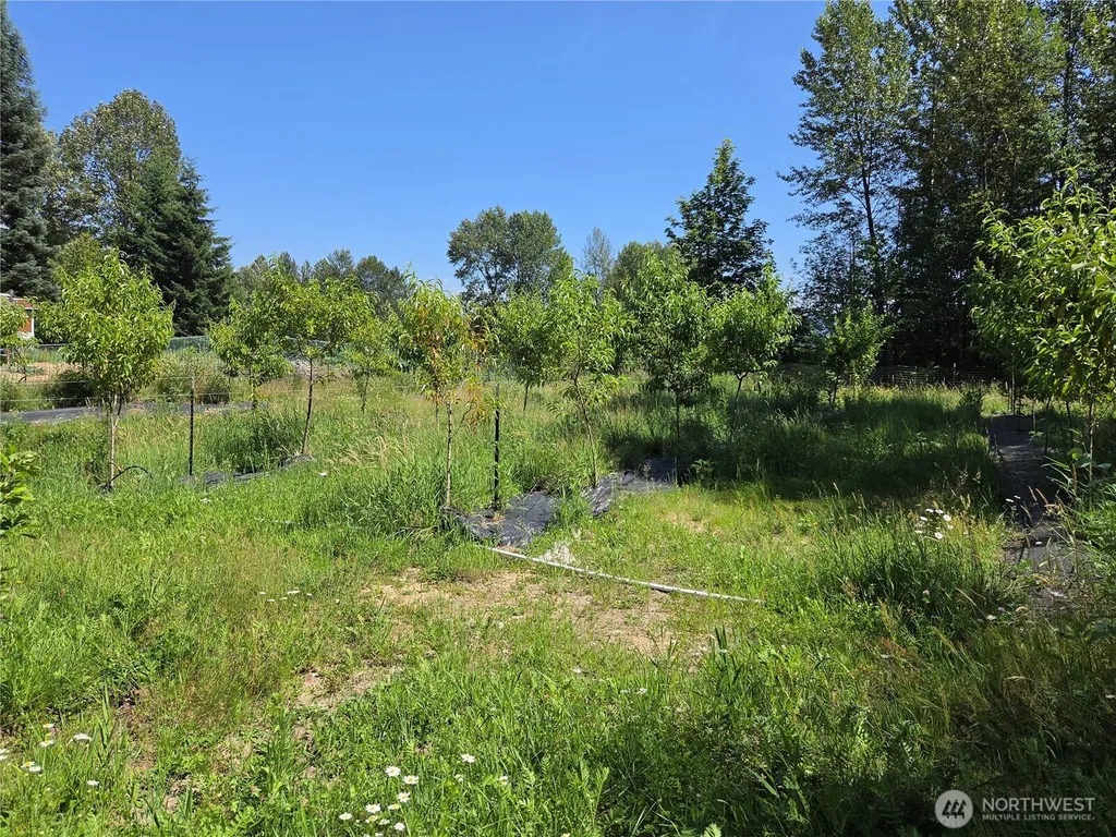 108 Savio Road E Randle WA 98377