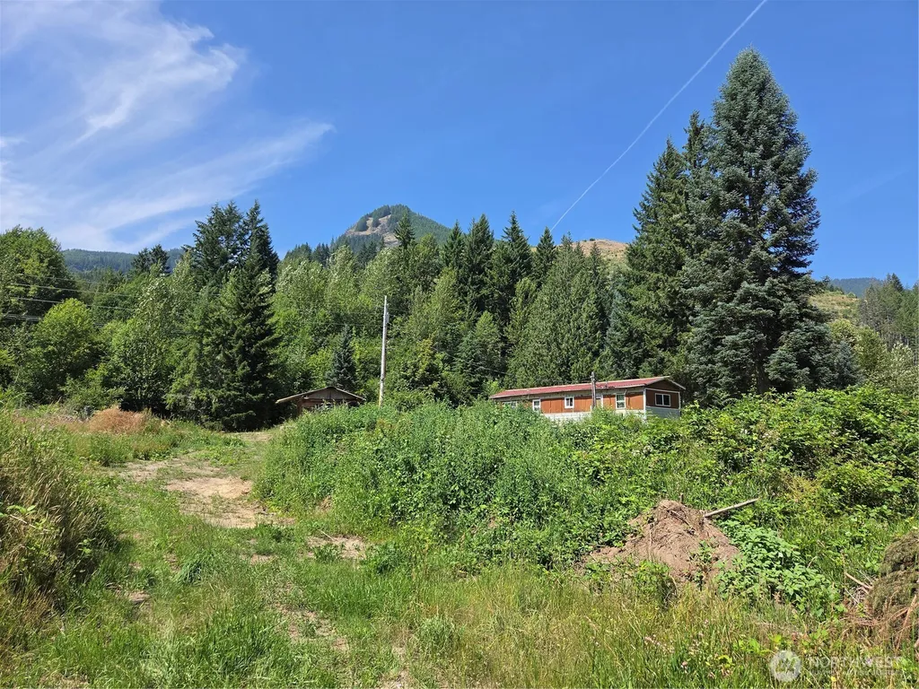 108 Savio Road E Randle WA 98377