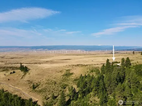 790 Fs Road 3506 Ellensburg WA 98926