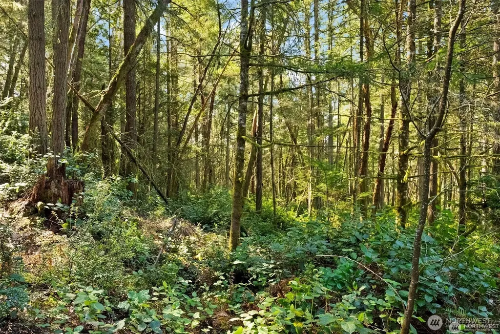 0 Canterwood Boulevard Gig Harbor WA 98332