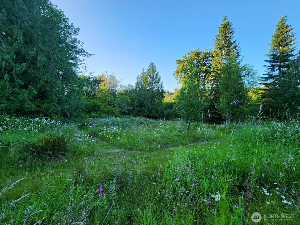 234 Markum Lane Winlock WA 98596