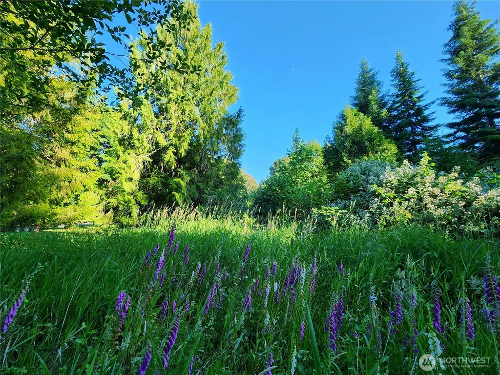 234 Markum Lane Winlock WA 98596