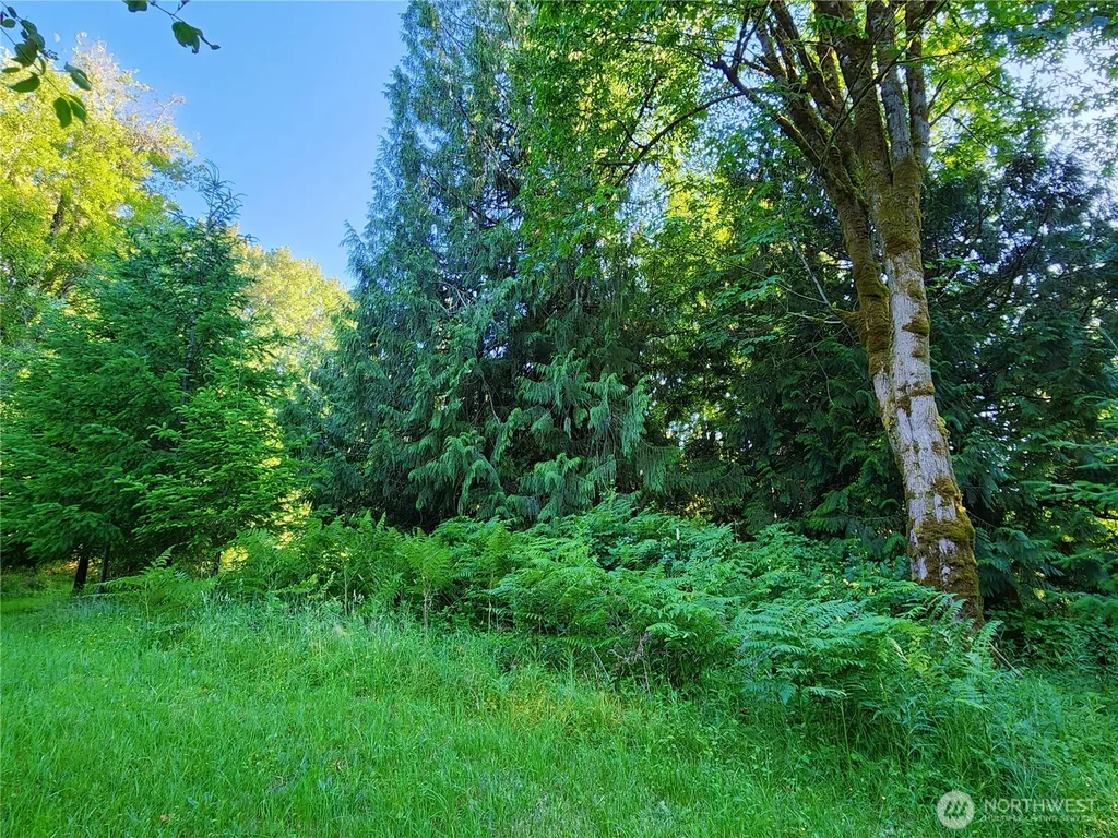234 Markum Lane Winlock WA 98596