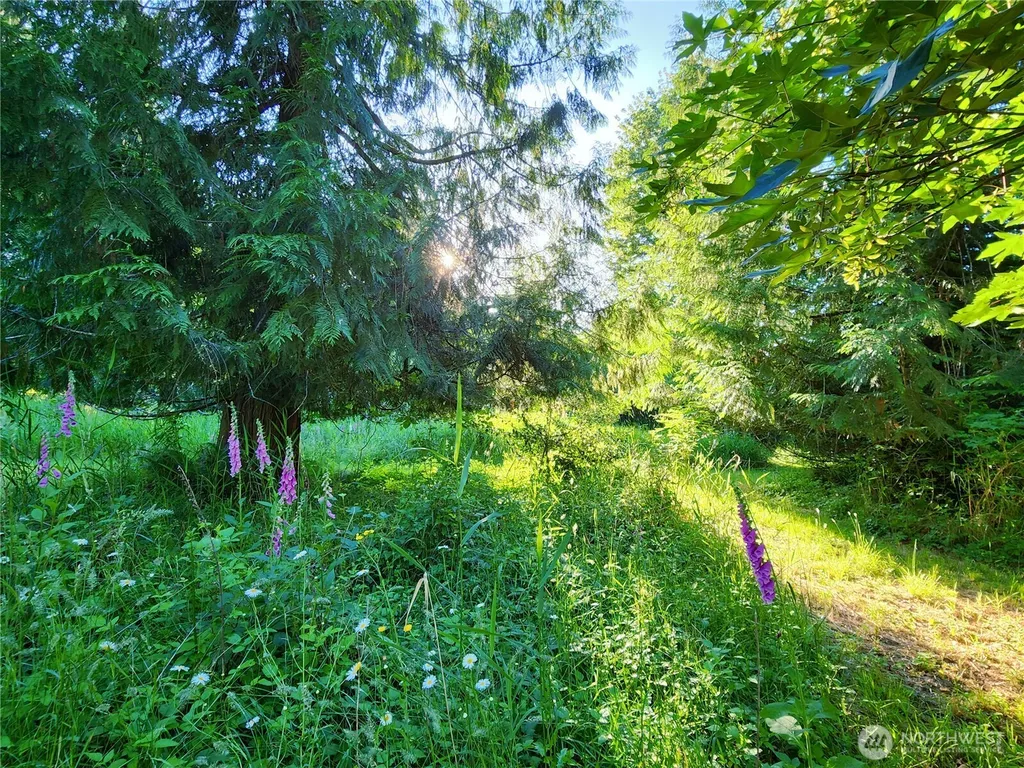 234 Markum Lane Winlock WA 98596