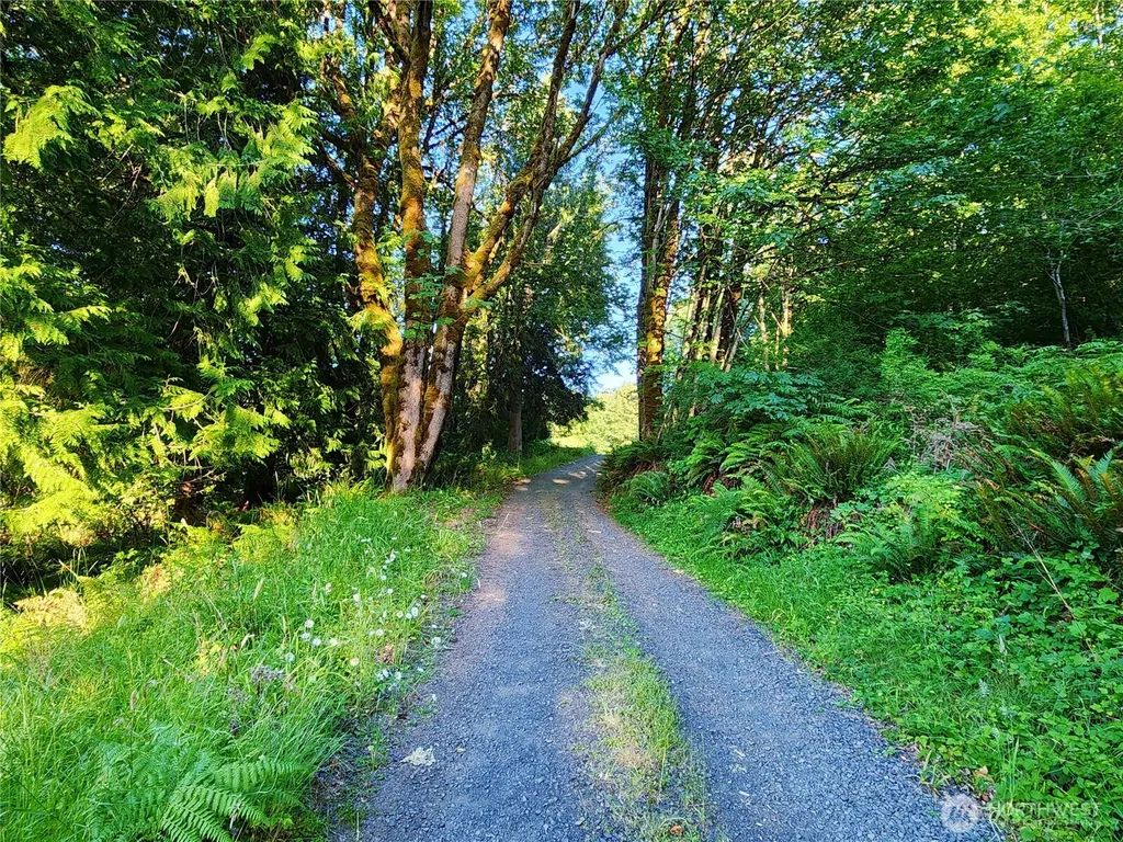 234 Markum Lane Winlock WA 98596