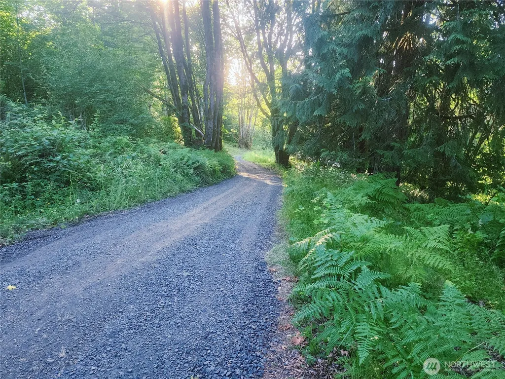234 Markum Lane Winlock WA 98596