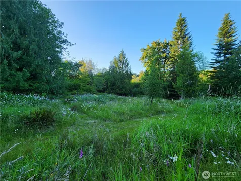 234 Markum Lane Winlock WA 98596