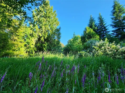 234 Markum Lane Winlock WA 98596