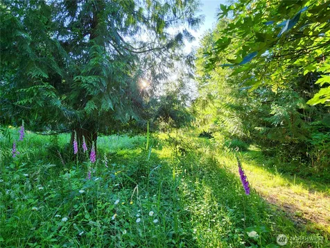 234 Markum Lane Winlock WA 98596