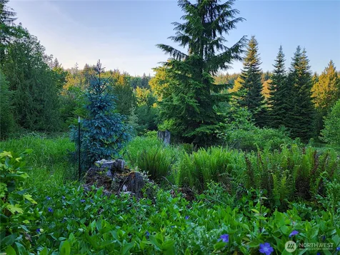 234 Markum Lane Winlock WA 98596