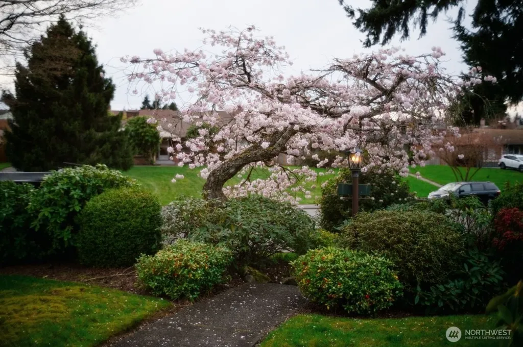 4915 Rucker Avenue Everett WA 98203