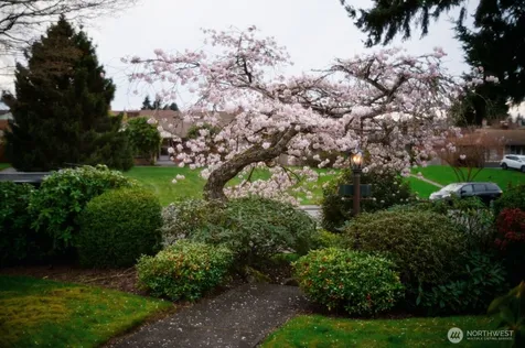 4915 Rucker Avenue Everett WA 98203