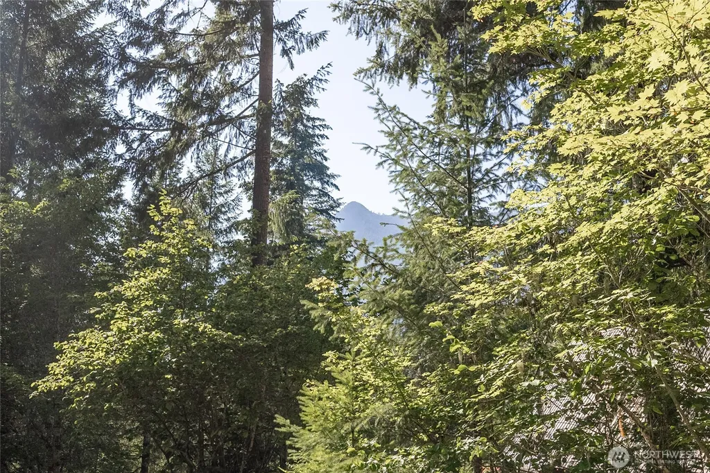 101 Cascade Drive Packwood WA 98361
