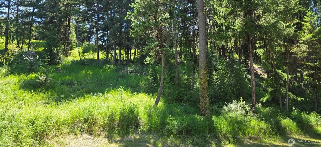 111 Tbd Amanda Road Oroville WA 98270