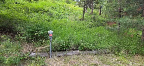 111 Tbd Amanda Road Oroville WA 98270