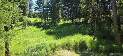 111 Tbd Amanda Road Oroville WA 98270