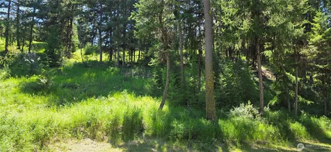111 Tbd Amanda Road Oroville WA 98270