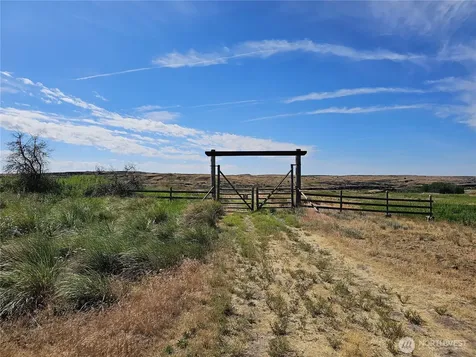 24414 Seven Springs Dairy Road E Harrington WA 99134