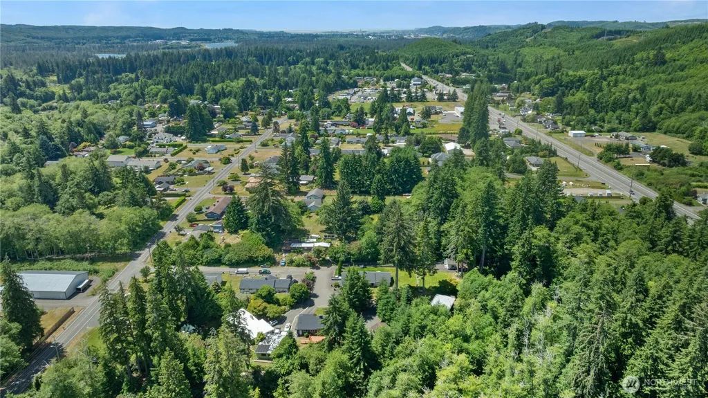 313 Hemlock Park Lane Aberdeen WA 98520