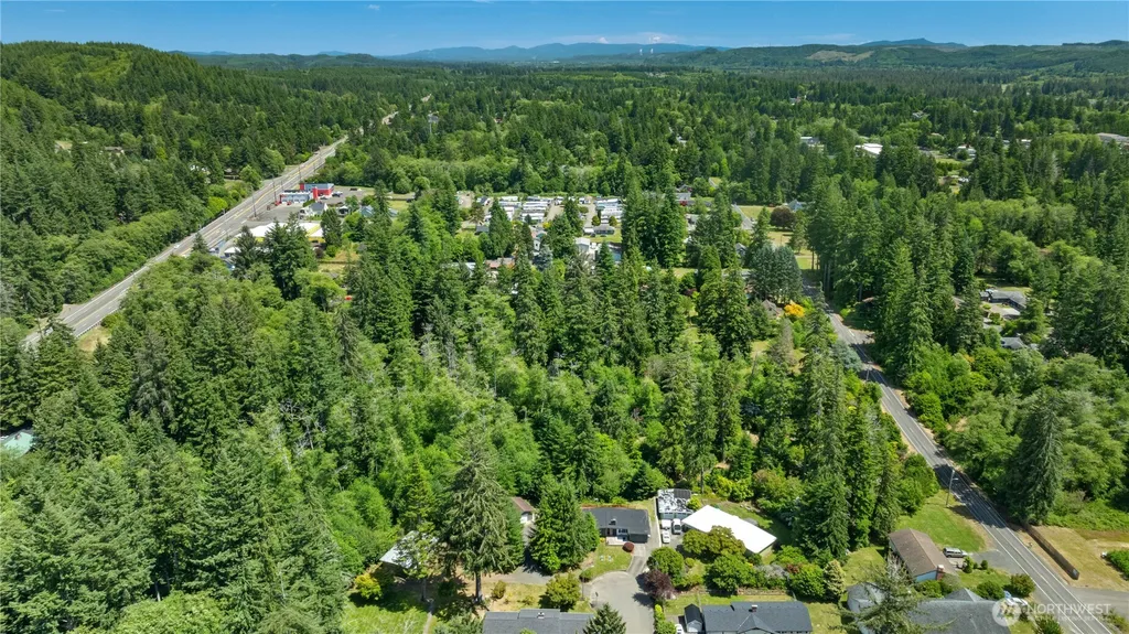 313 Hemlock Park Lane Aberdeen WA 98520