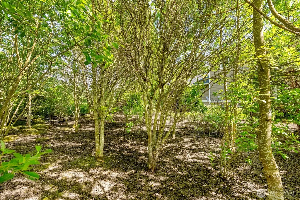 4610 Elmwood Drive Blaine WA 98230