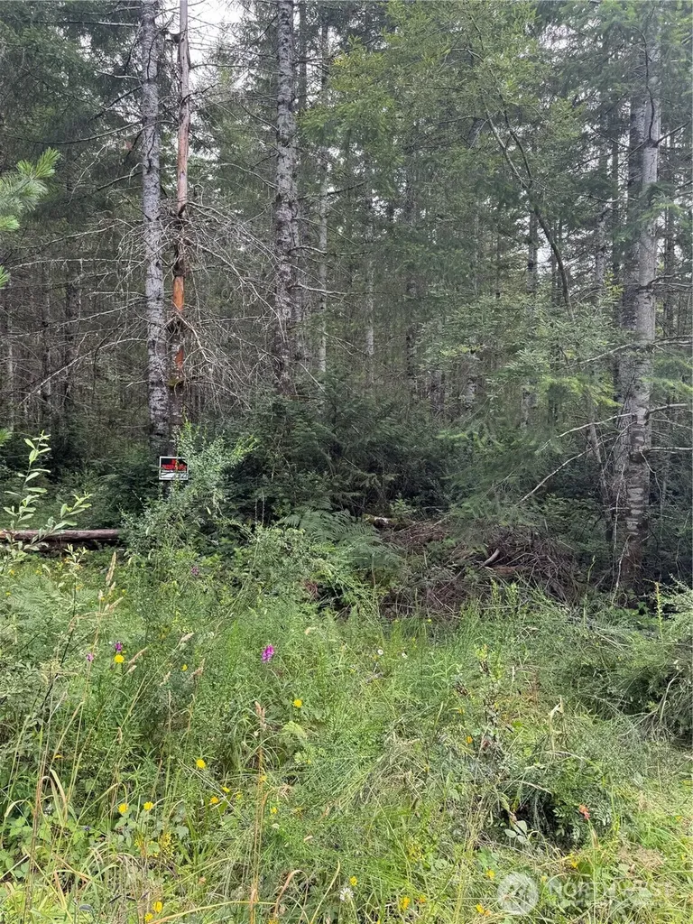 361 E Morris Creek Road Belfair WA 98528