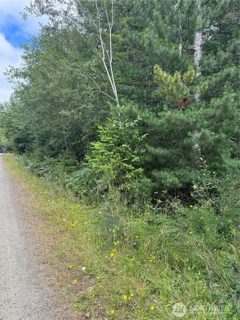 361 E Morris Creek Road Belfair WA 98528