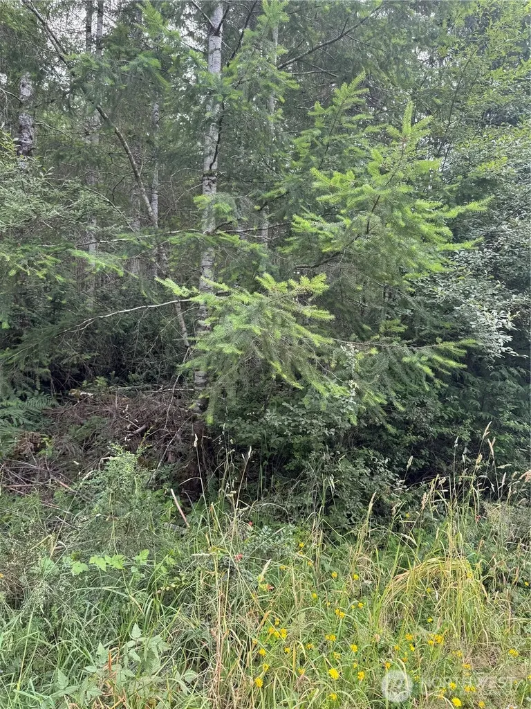 361 E Morris Creek Road Belfair WA 98528