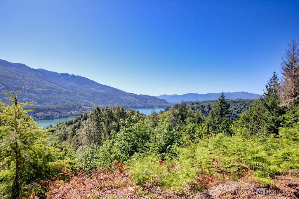 45028 Baker Lake Road Concrete WA 98237