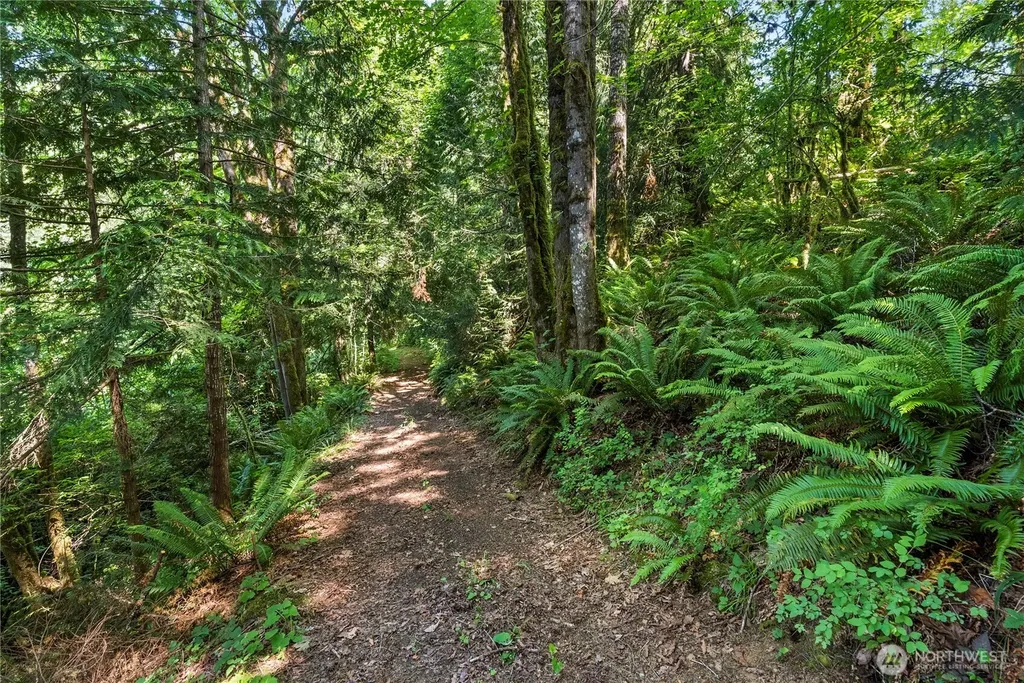 223 Porter Creek Road Elma WA 98541