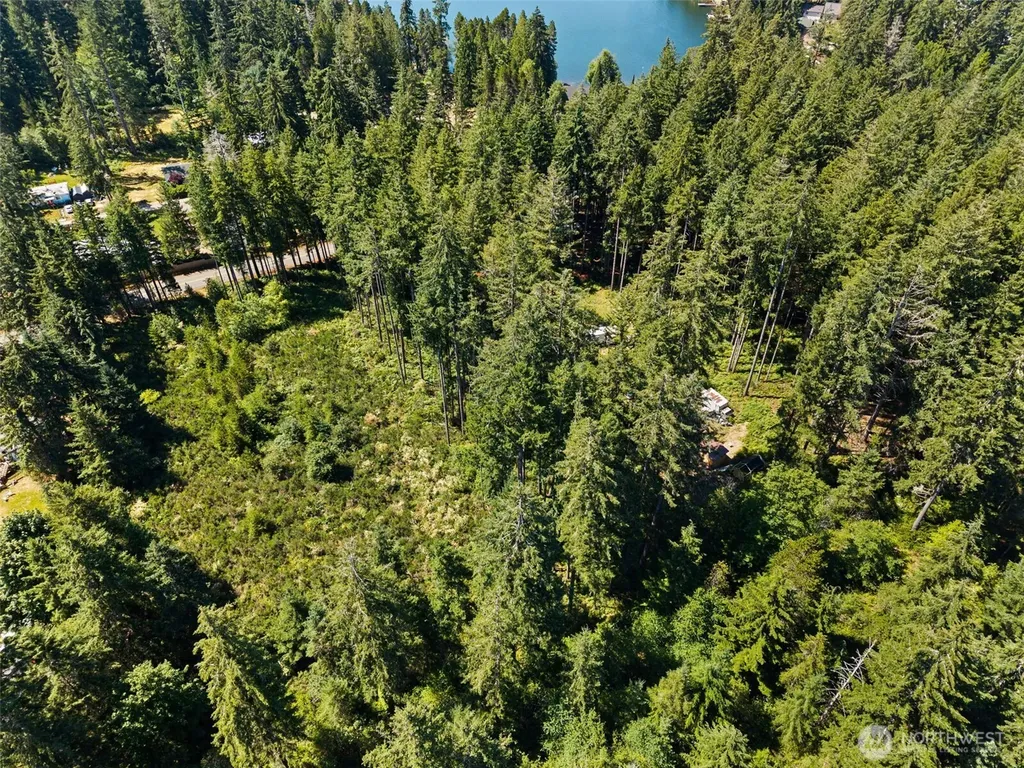 1030 E Phillips Lake Road Shelton WA 98584