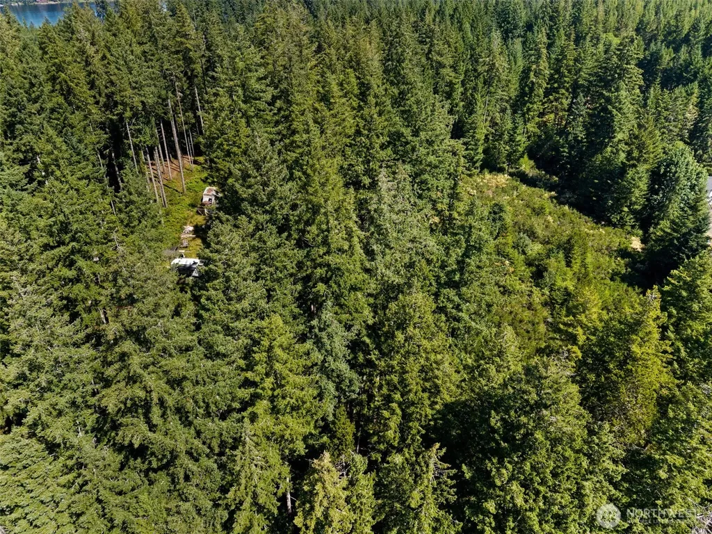 1030 E Phillips Lake Road Shelton WA 98584