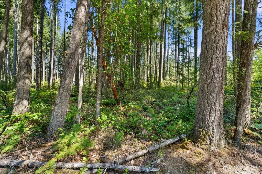 1030 E Phillips Lake Road Shelton WA 98584