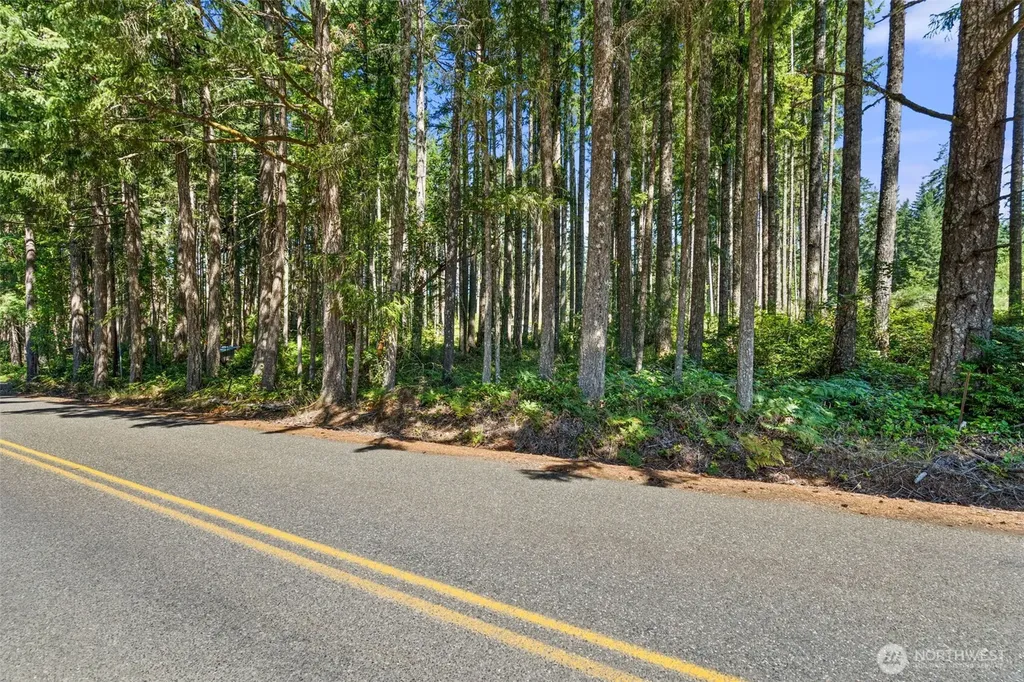 1030 E Phillips Lake Road Shelton WA 98584