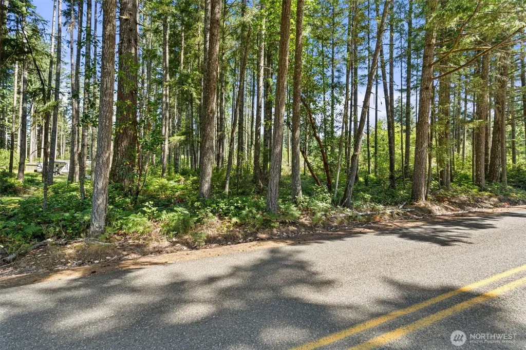1030 E Phillips Lake Road Shelton WA 98584