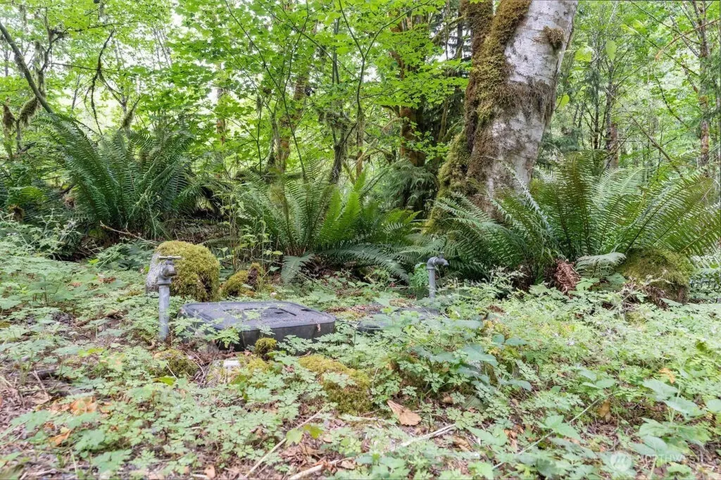 872 High Ridge Drive Marblemount WA 98267