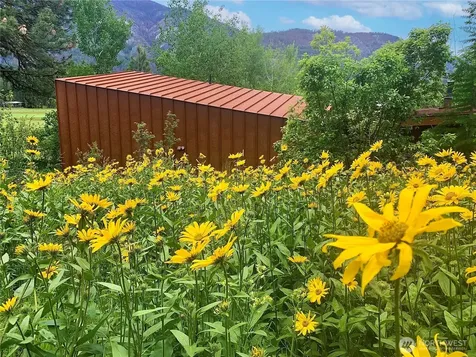 63 Chechaquo Ranch Road Mazama WA 98833