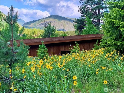 63 Chechaquo Ranch Road Mazama WA 98833