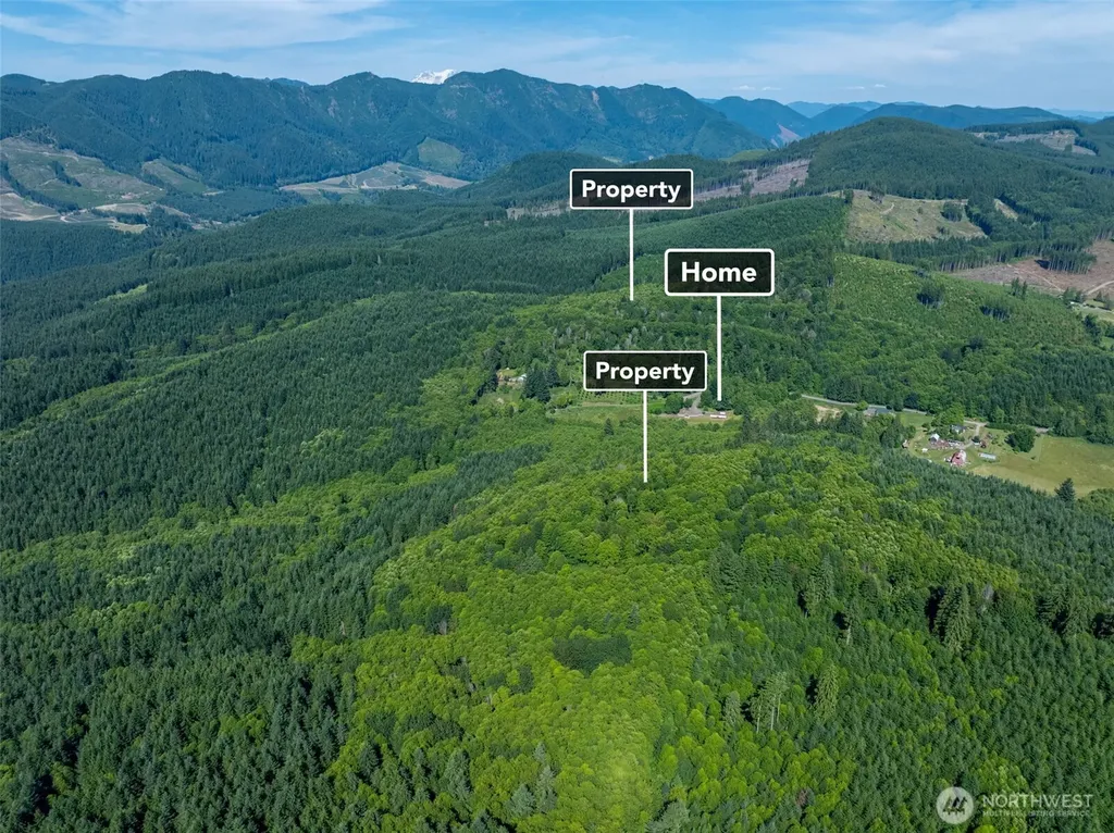 461 Kjesbu Road Silver Creek WA 98585