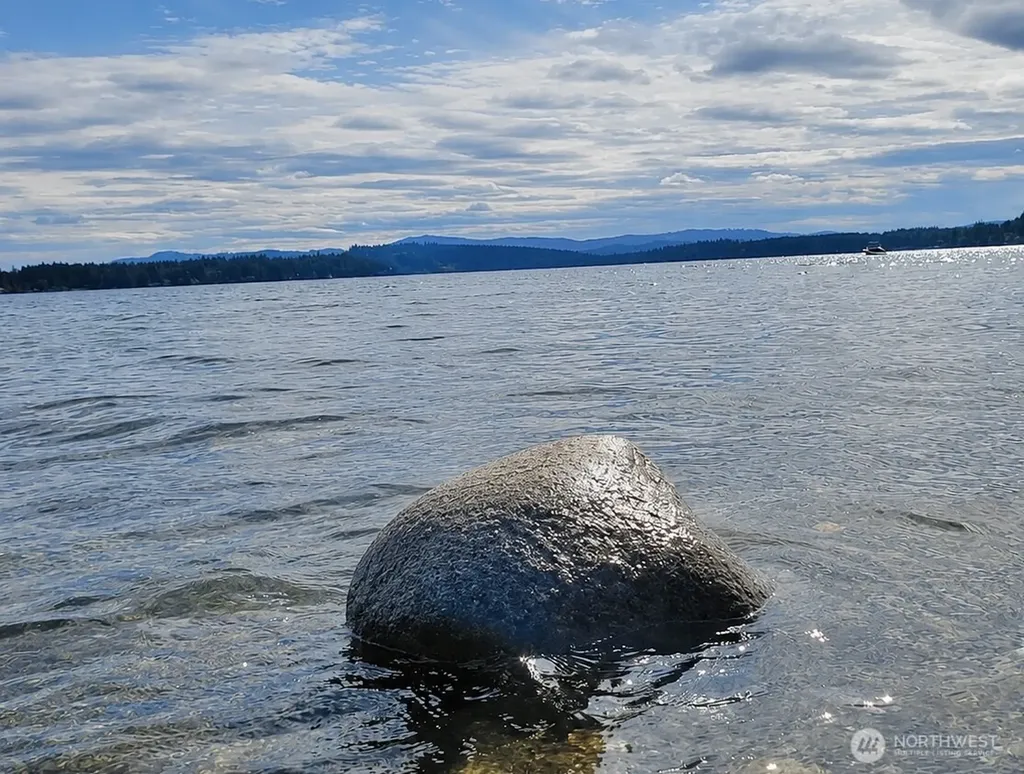 6080 SE Lynch Road Shelton WA 98584